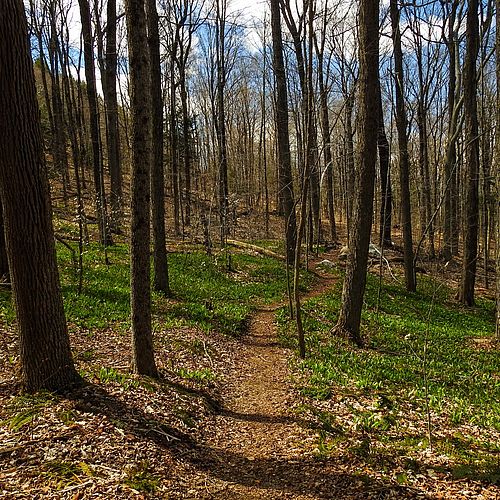 Spring in the Berkshires features a remarkable...