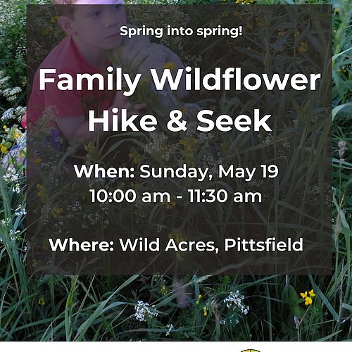 The wildflowers are blooming! 🌸 Come enjoy all the...