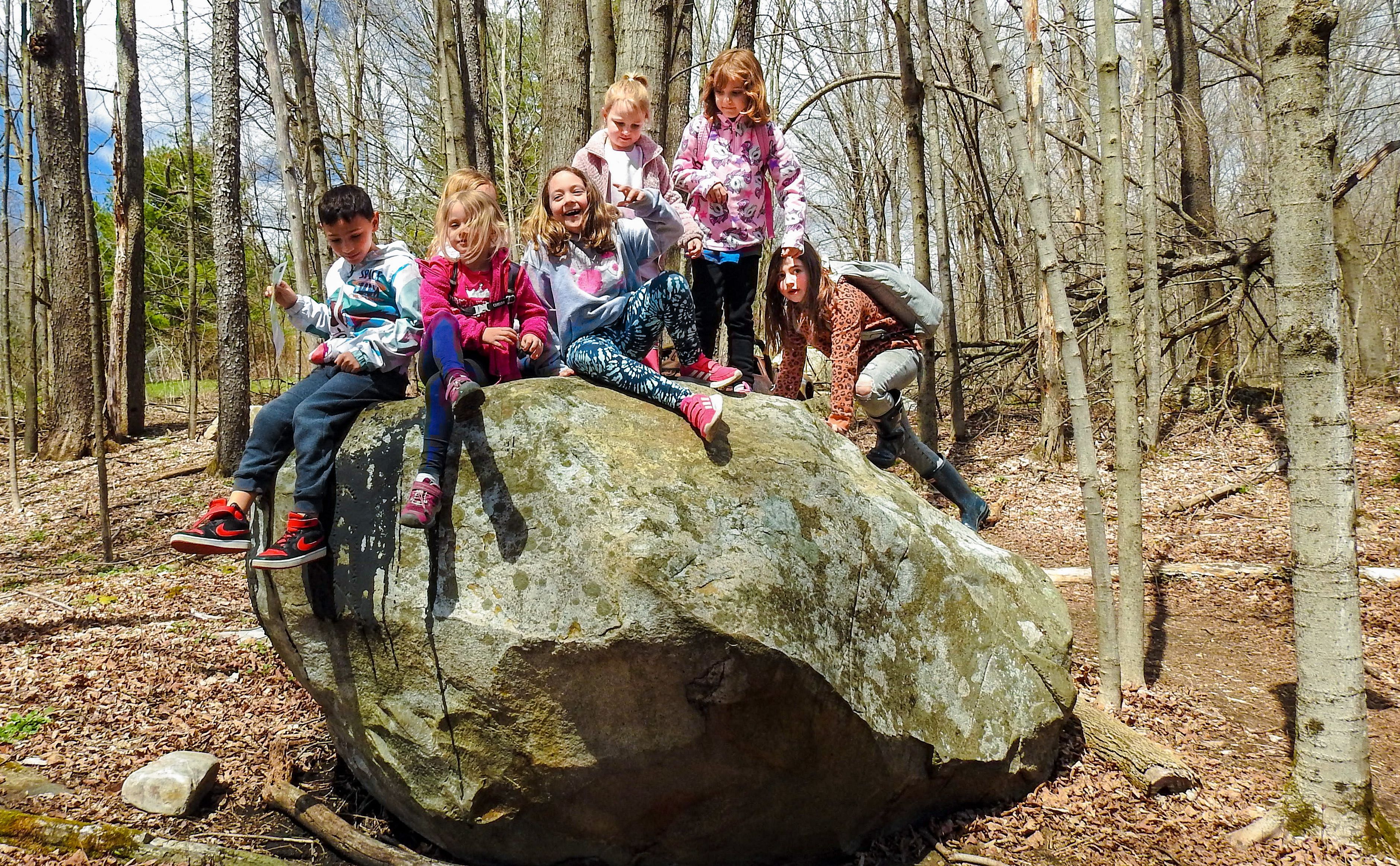 Noticing Nature: Family Exploration