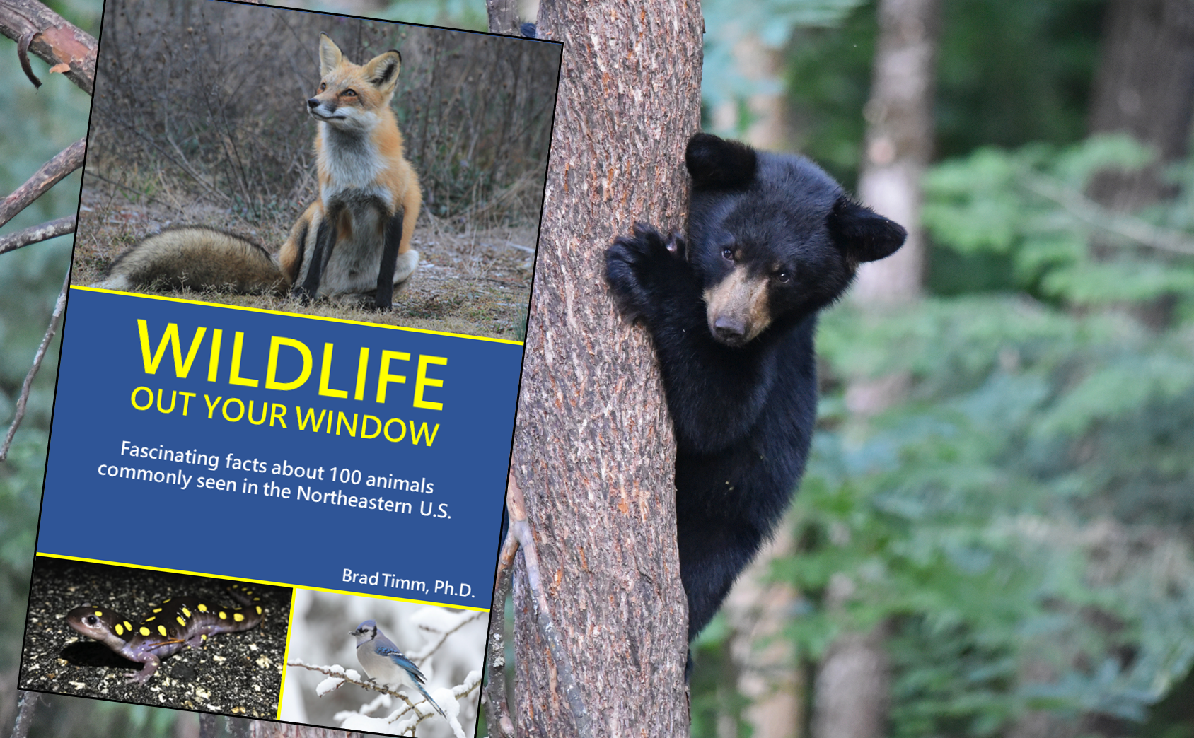 Guided Wildlife Hike With Brad Timm