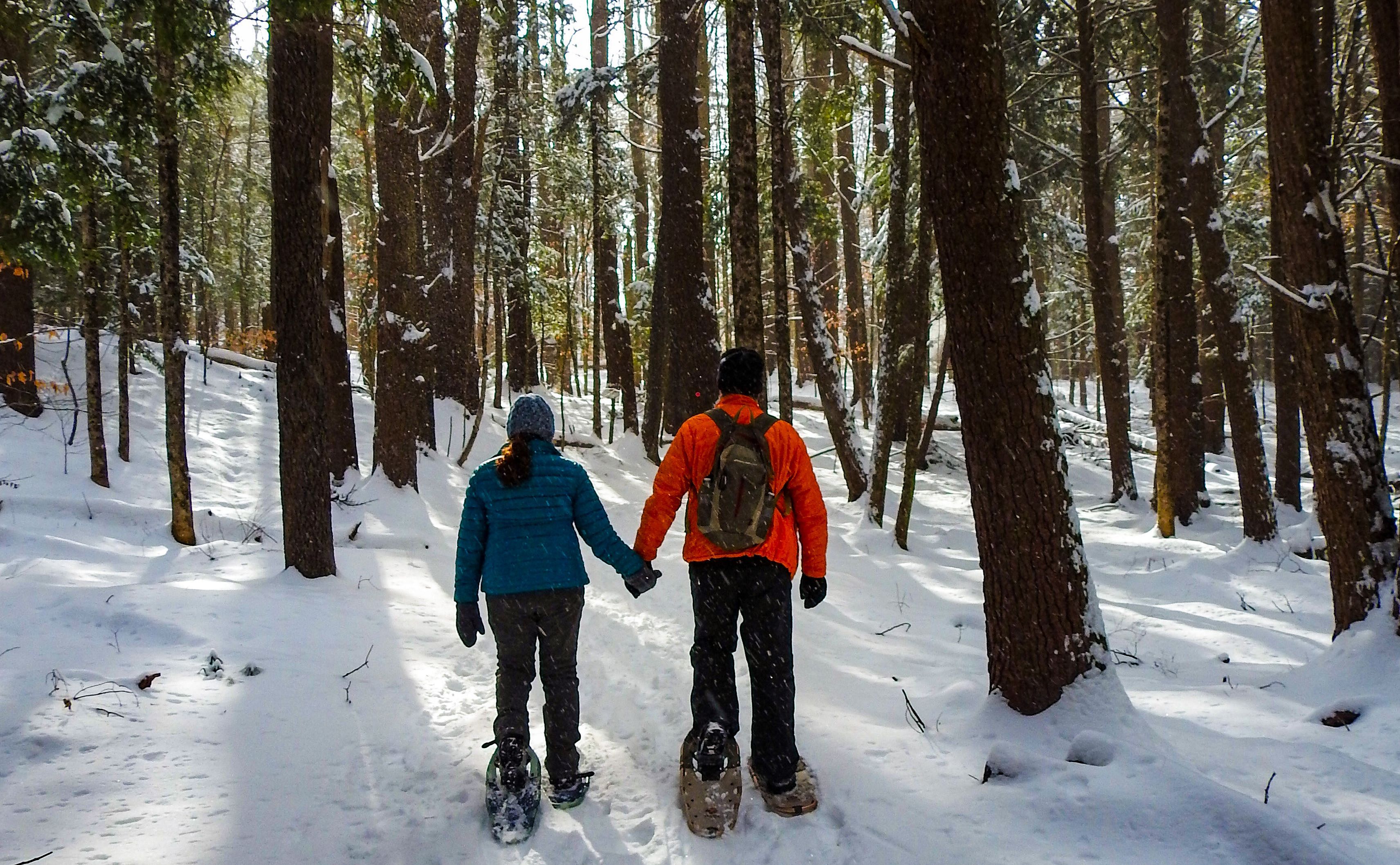Snowshoe at Clam River
