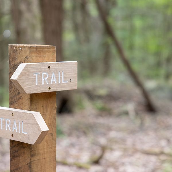 Wooden signs with trail carved into them