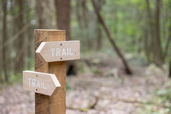 Wooden signs with trail carved into them