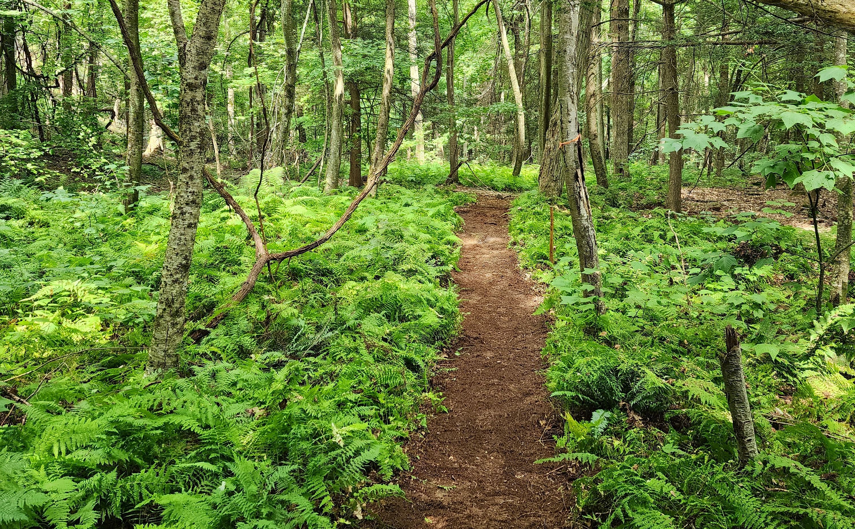 OLLI & BNRC Joint Hike