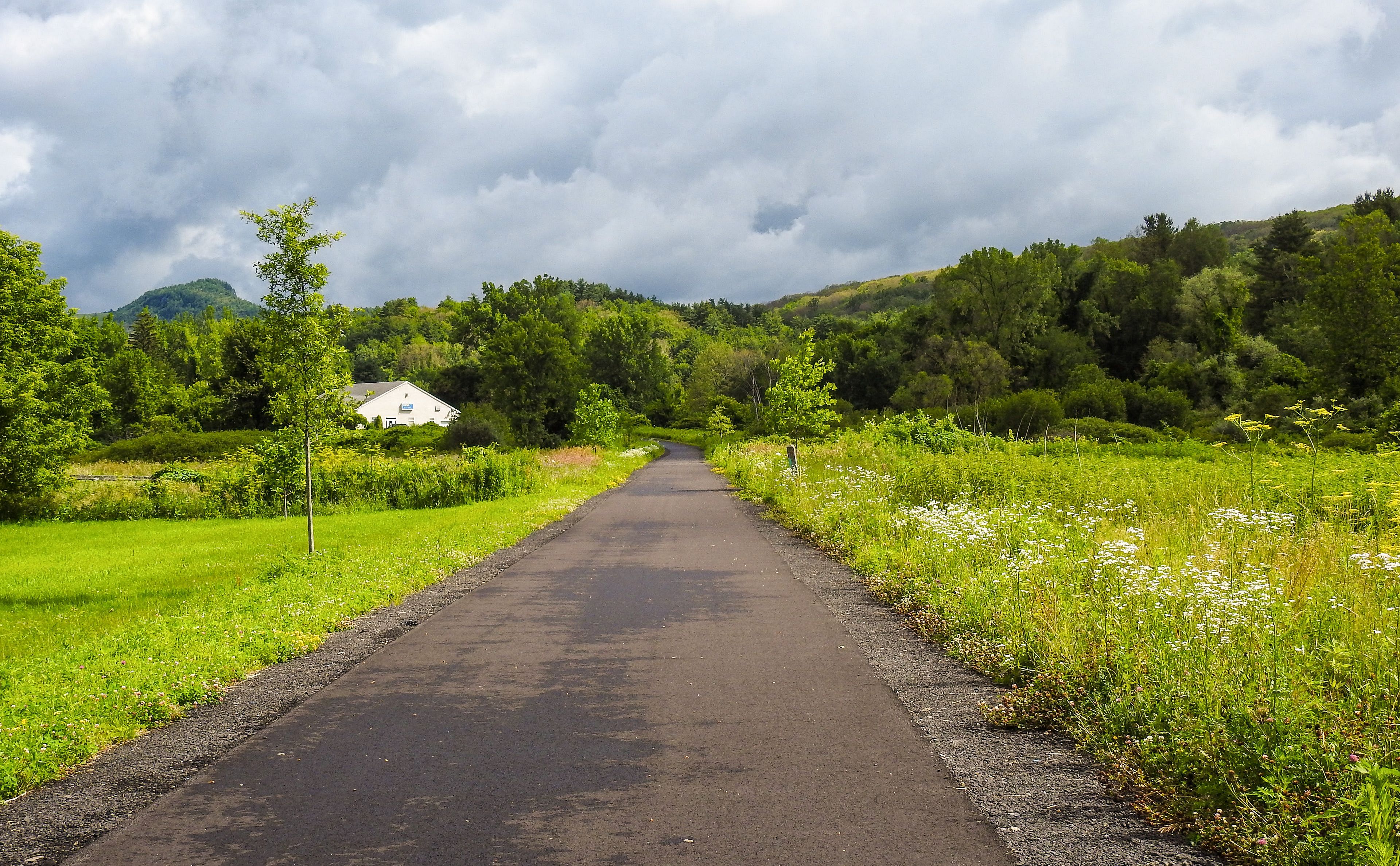 LGBTQ Eco-Hike: Spring Peepers Sunset Hike