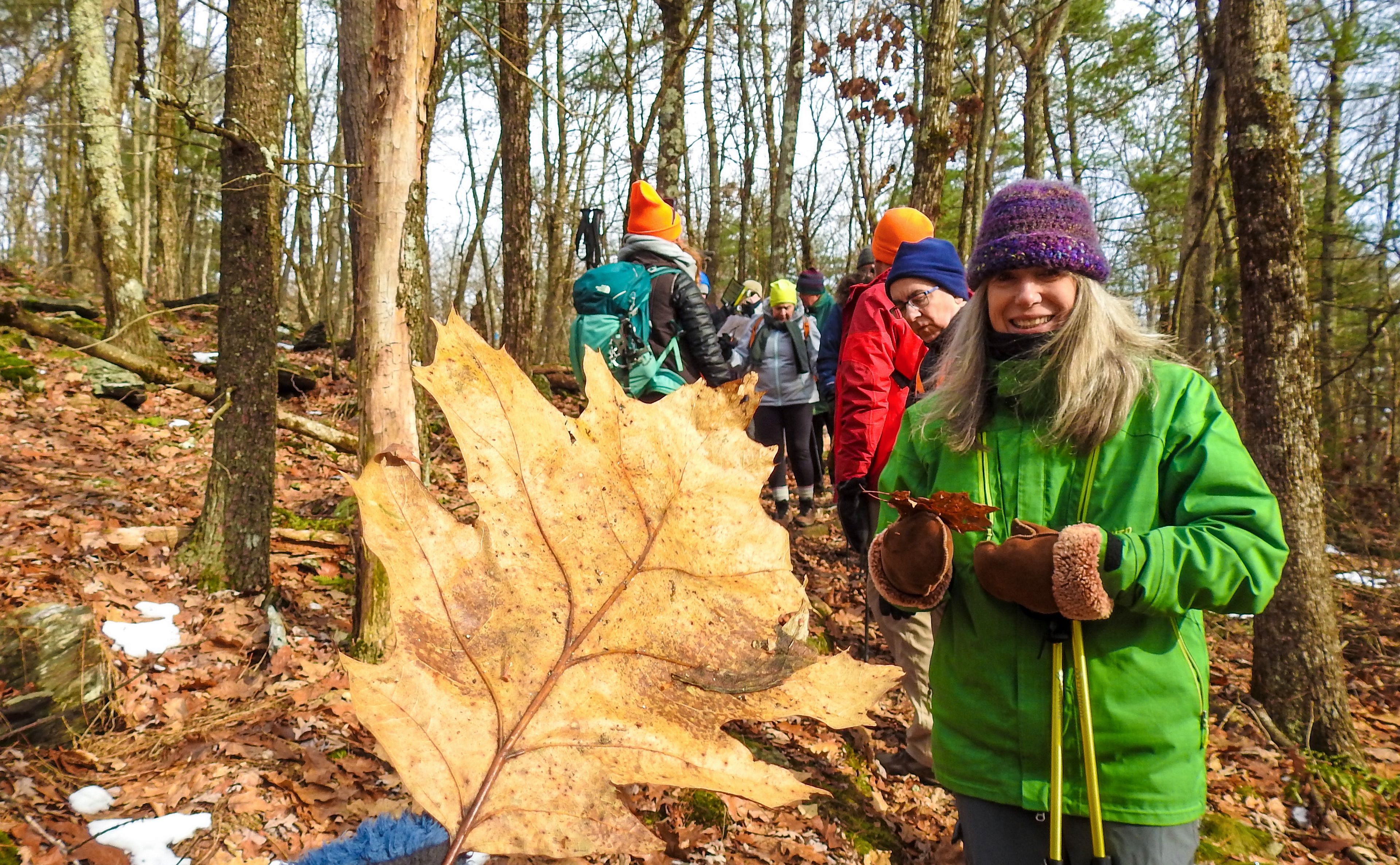 Berkshire Naturalist Class