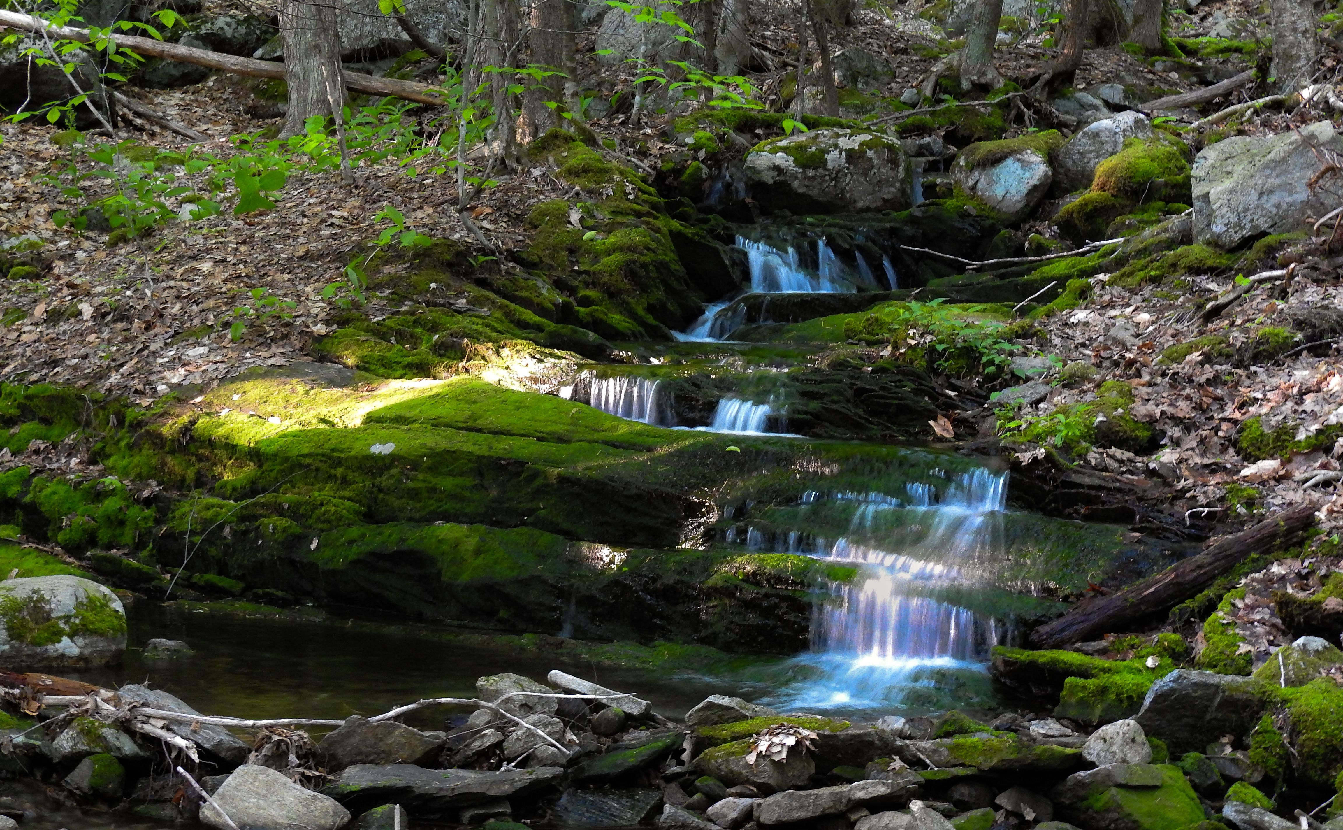 Housatonic Heritage Hike