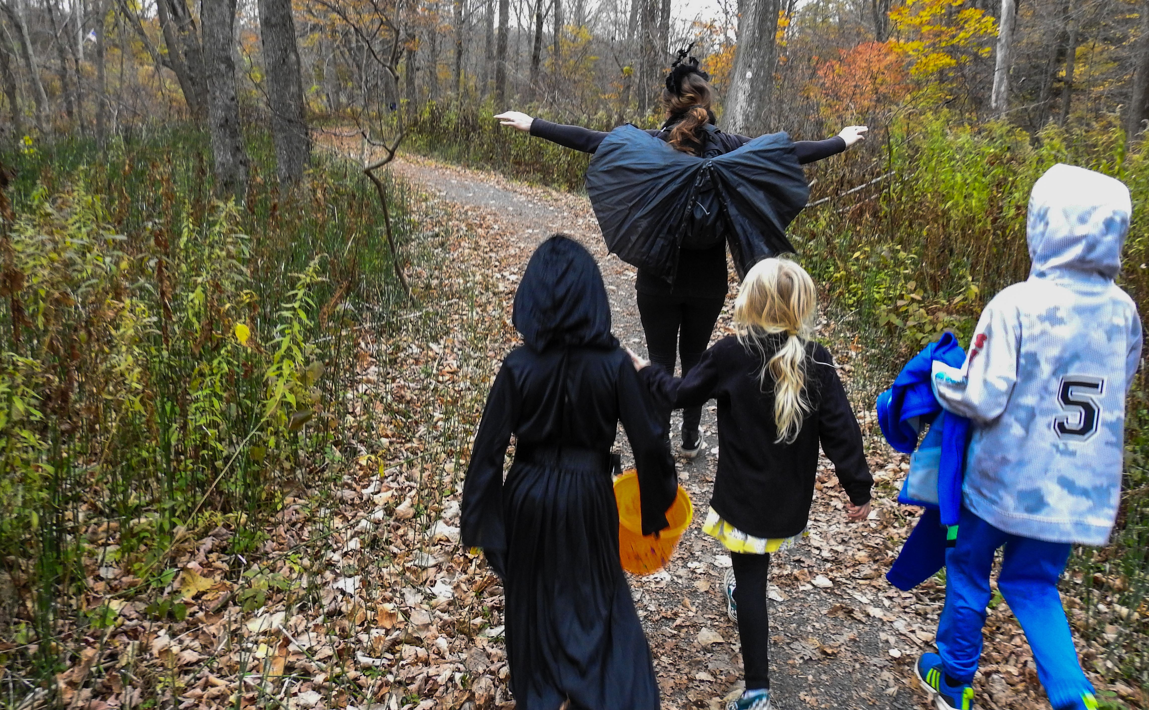 Eerie Ecology: A Spooky Nature Hike
