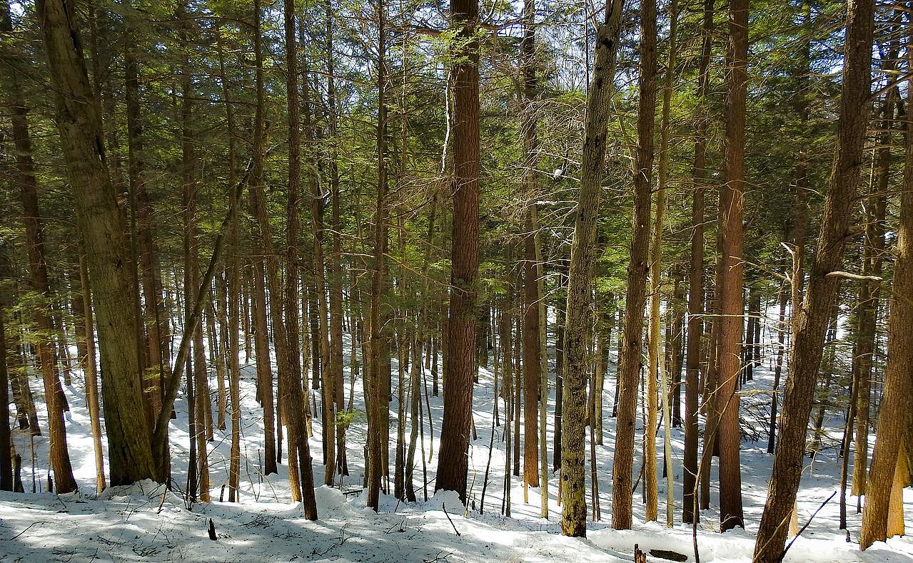 OLLI & BNRC Joint Hike