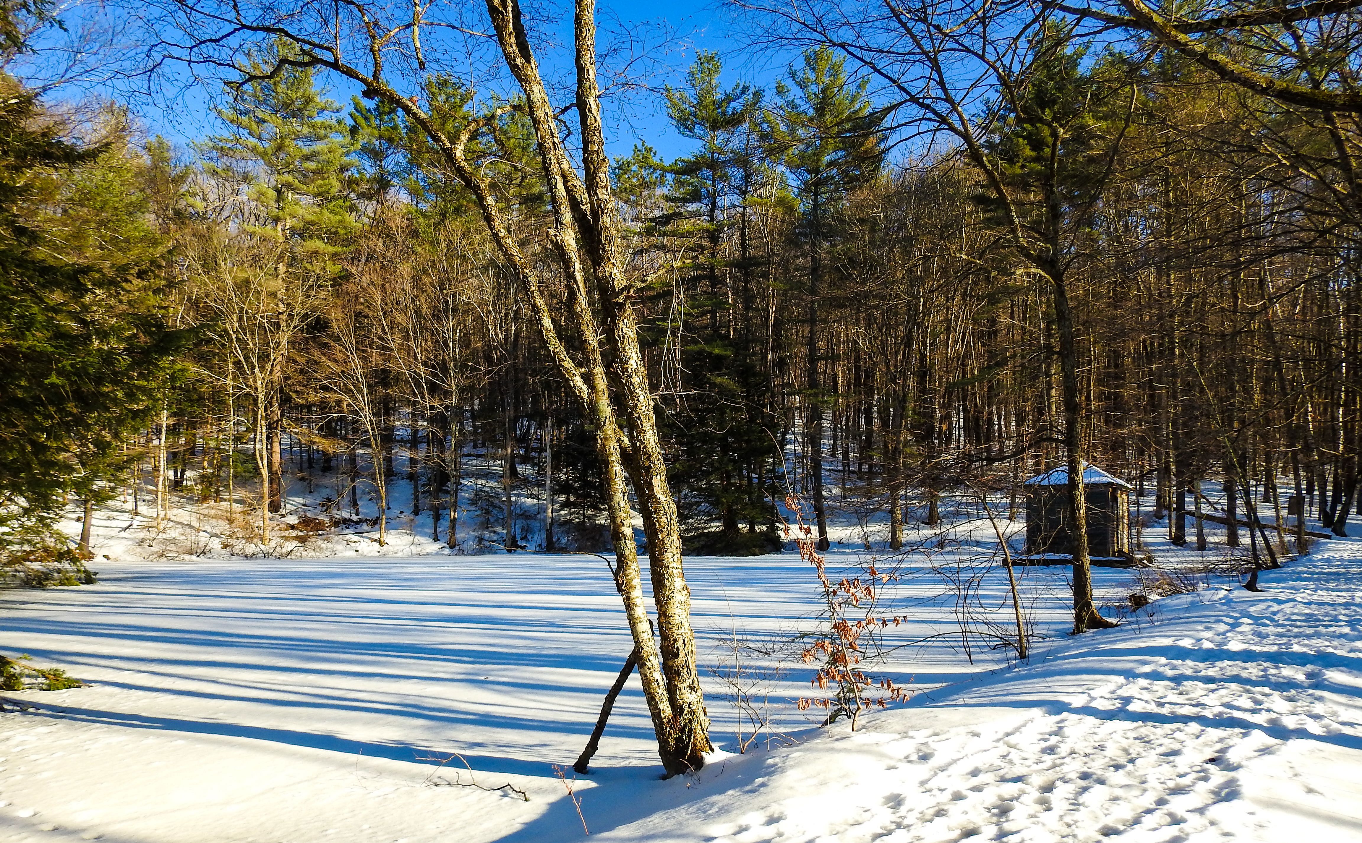 OLLI & BNRC Joint Hike