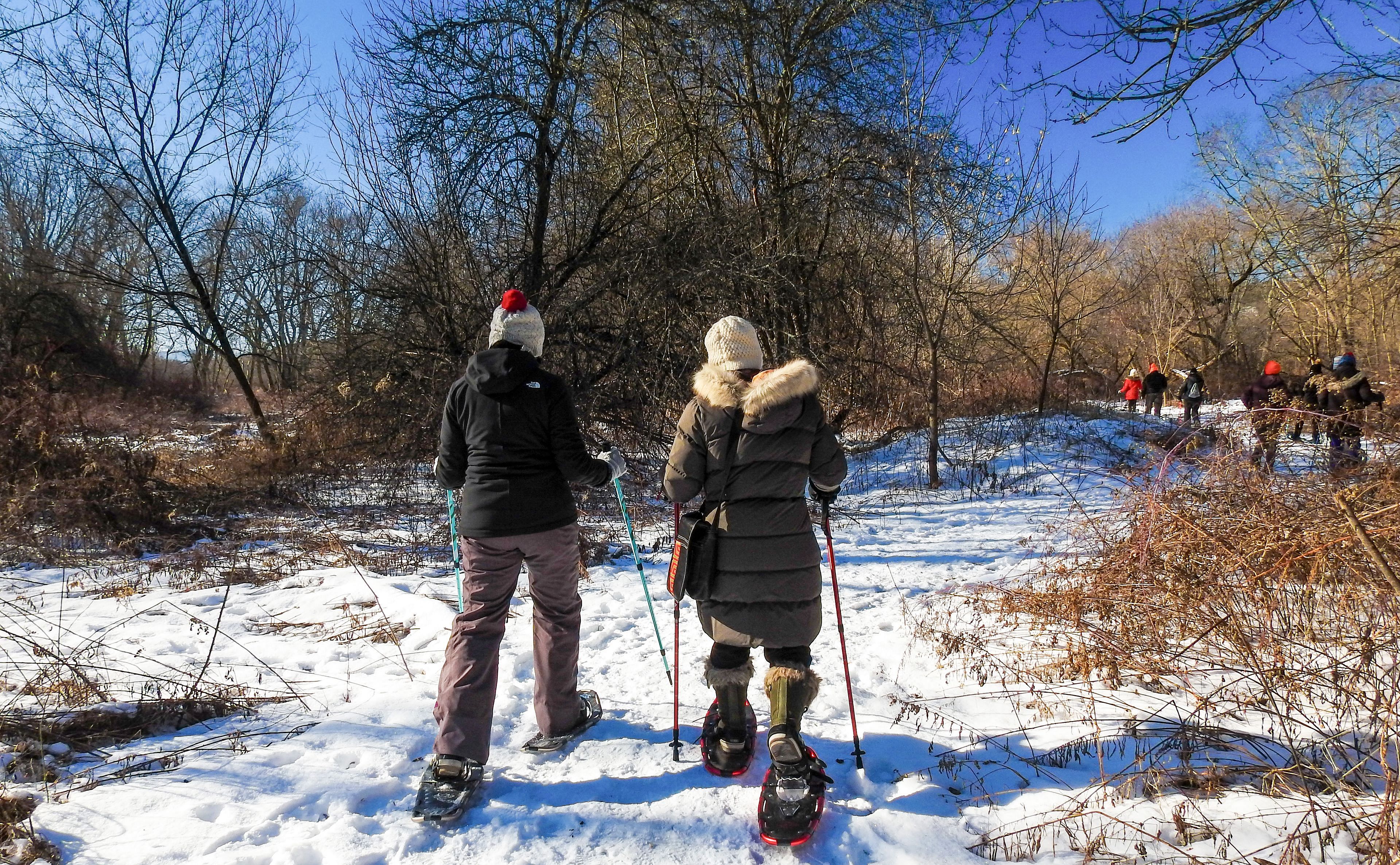 10X10 Family Snowshoe Hike at Arrowhead