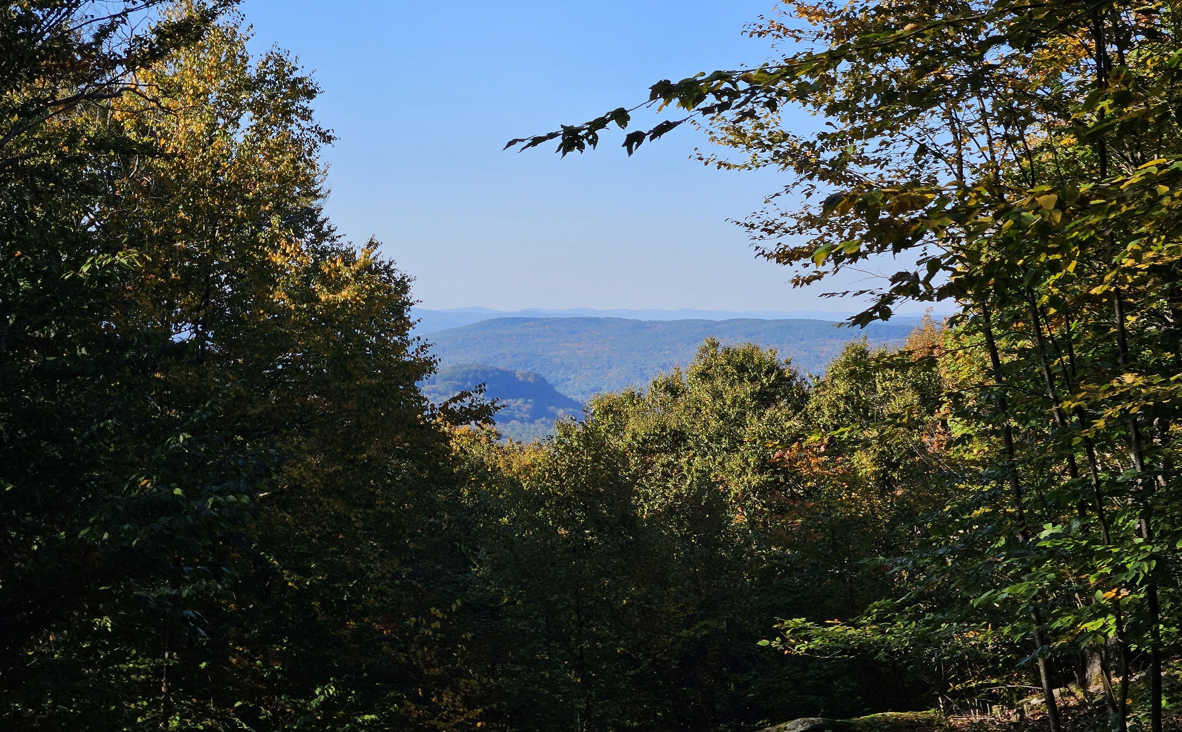 OLLI & BNRC Joint Hike