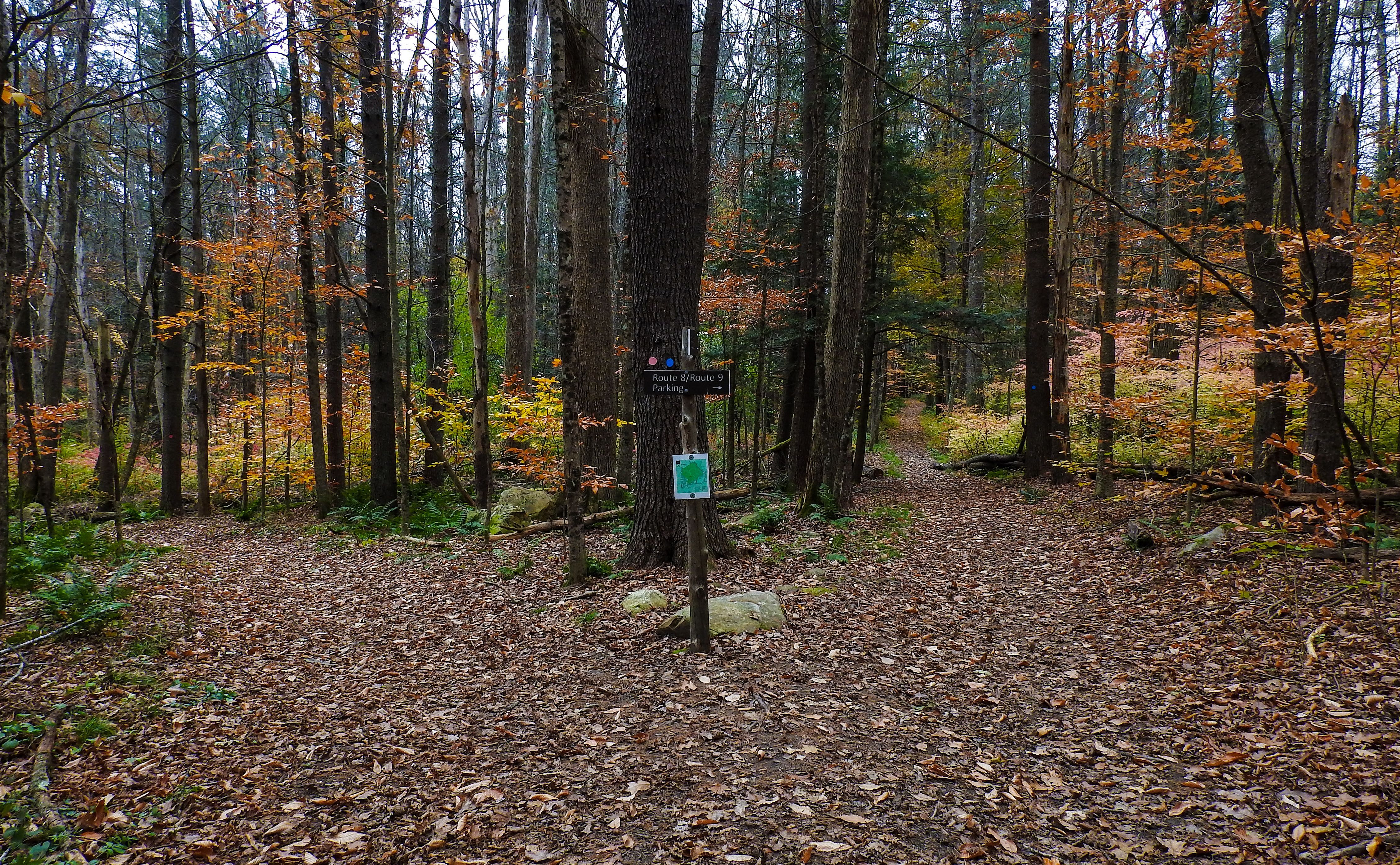 OLLI and BNRC Joint Hike