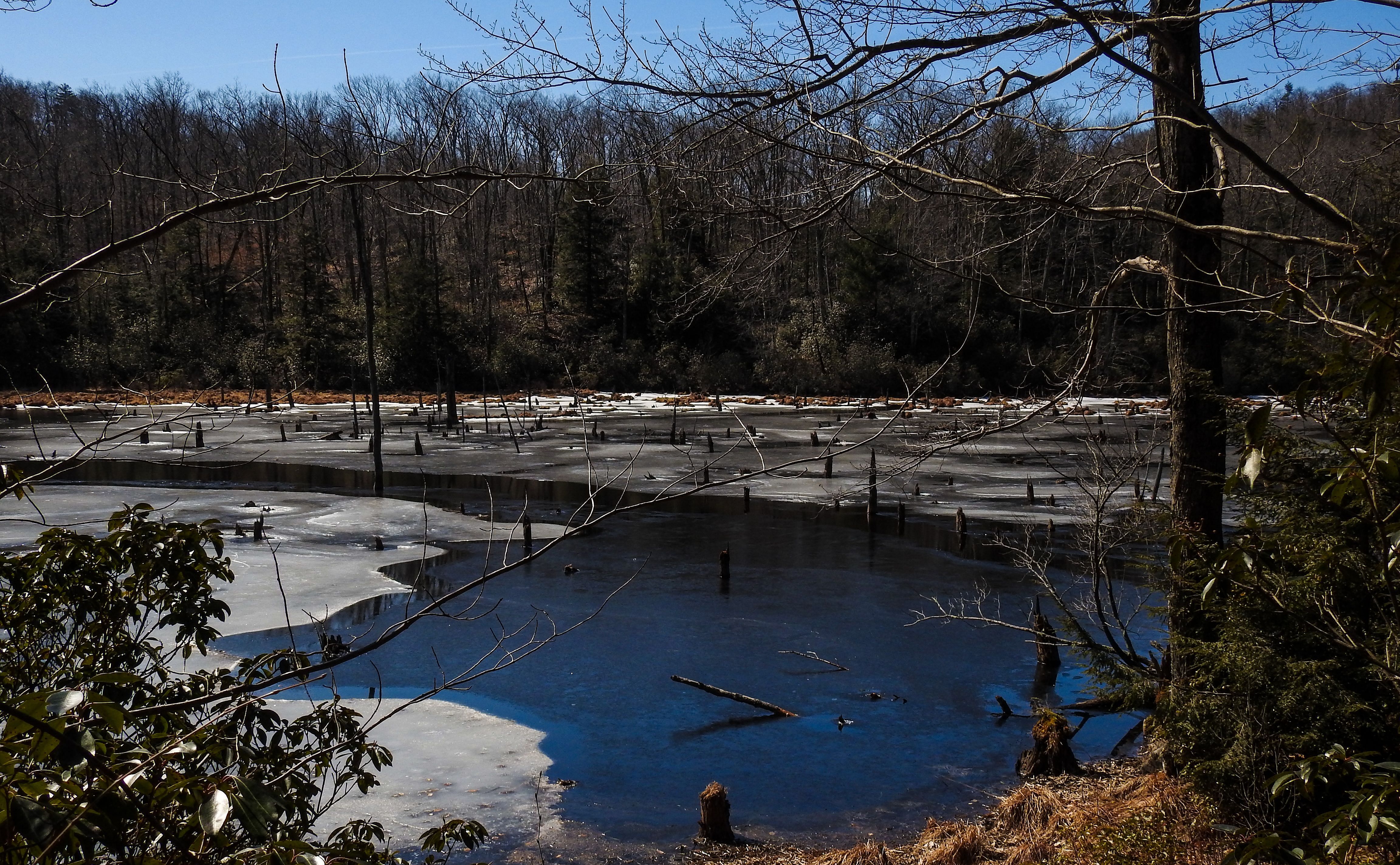 OLLI & BNRC Joint Hike