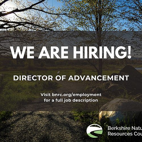 We're hiring! The Director of Advancement is a key...