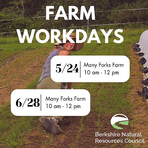 Come help out at Many Forks Farm, TOMORROW, 5/24!...